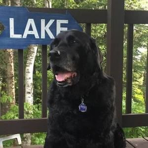 Meet your Posher, Deborah